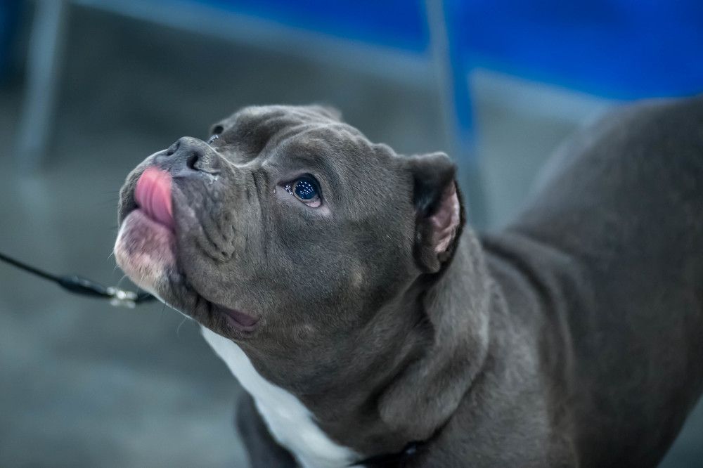 Photograph by Татьяна