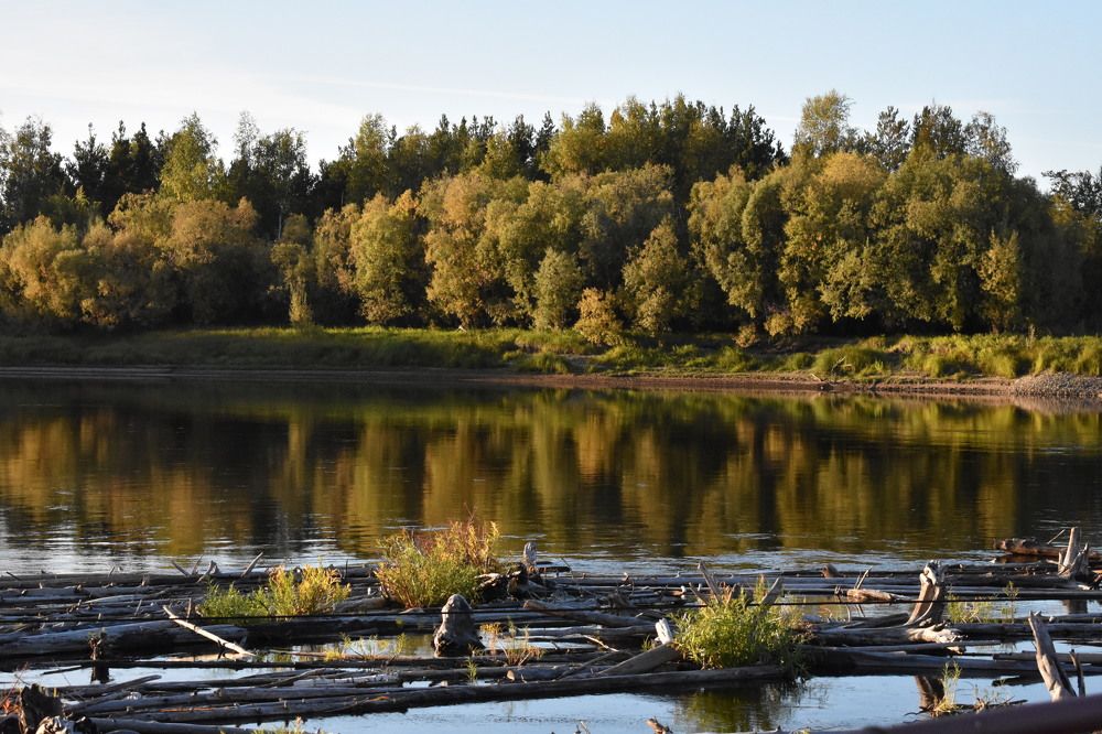 Река Ляма в Сургутском районе