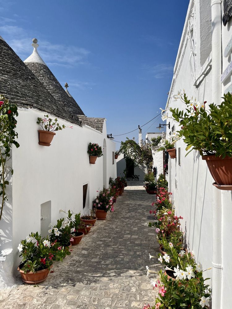 Photograph by Amy May Holt