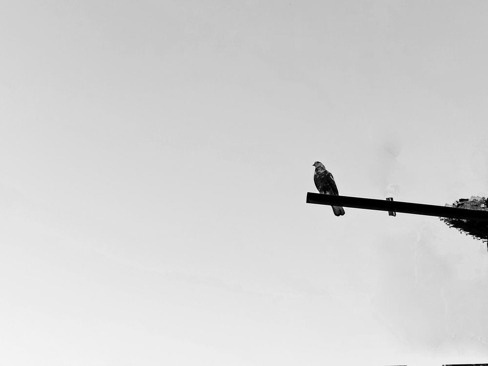 Photograph by Asma Rashidi