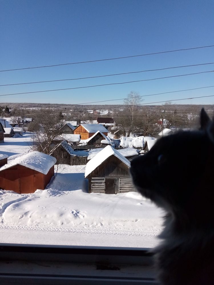 Photograph by Ирина Жемчужина