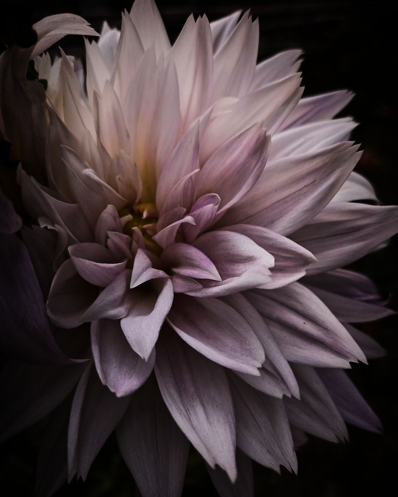 Photograph by Arnab Roy