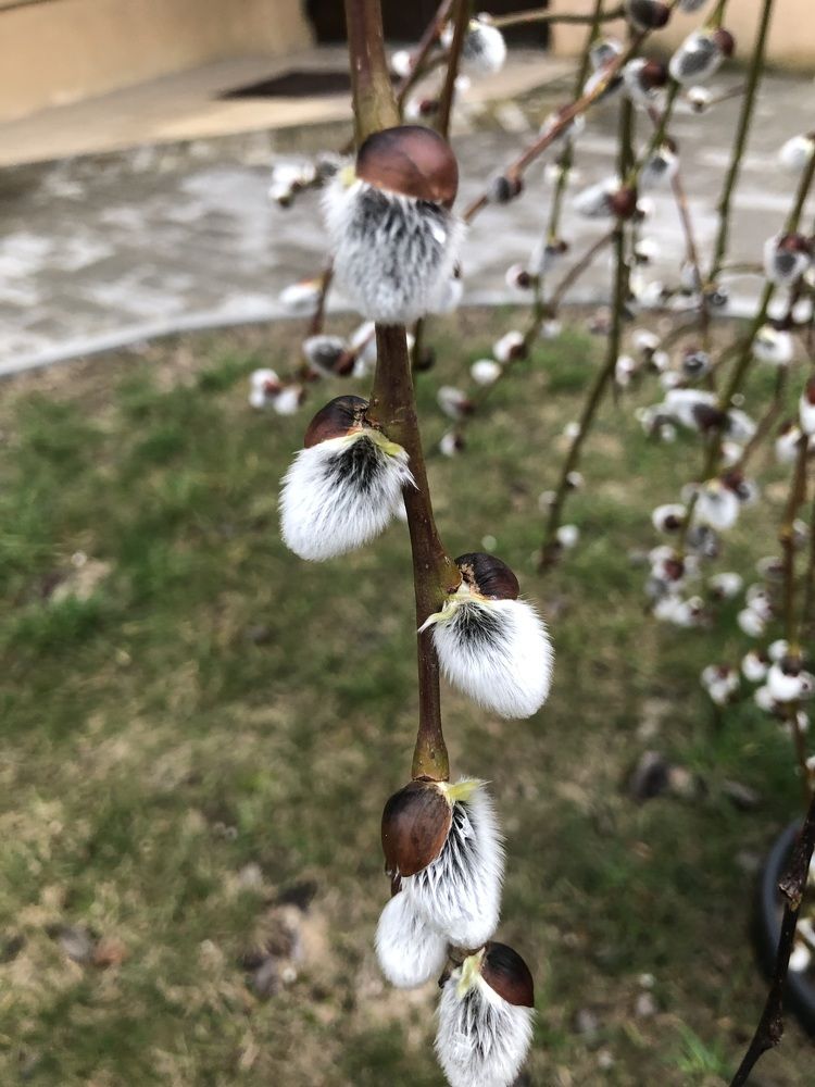 Photograph by Сяргей Кулик