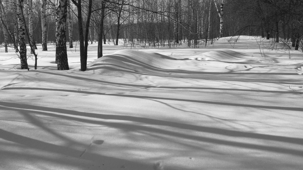 Photograph by Серега Вартман