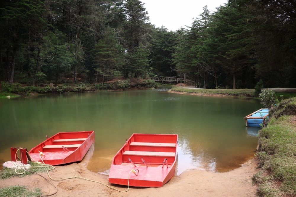 Photograph by Mauricio Mora Flores