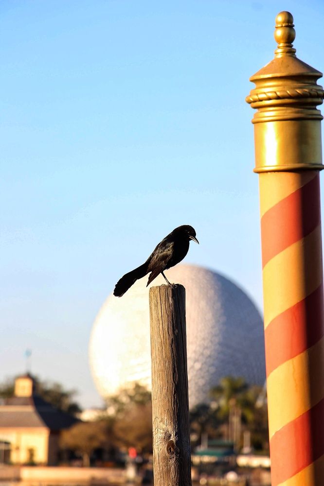 Photograph by Mauricio Mora Flores