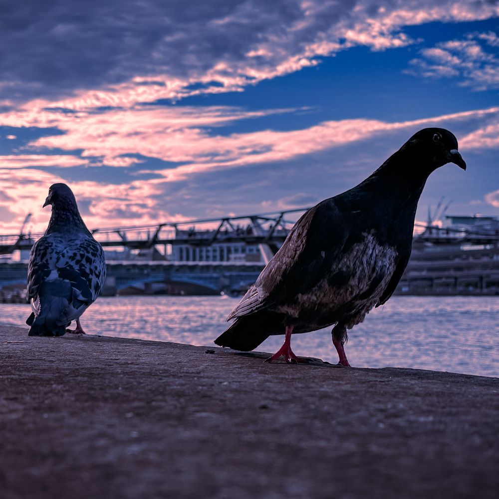 Photograph by  Syed Mortuza Hussain