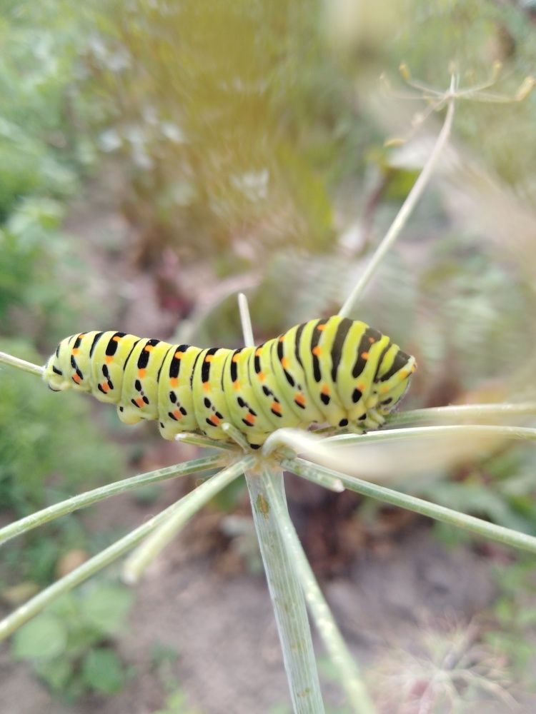 Photograph by Янина Милош