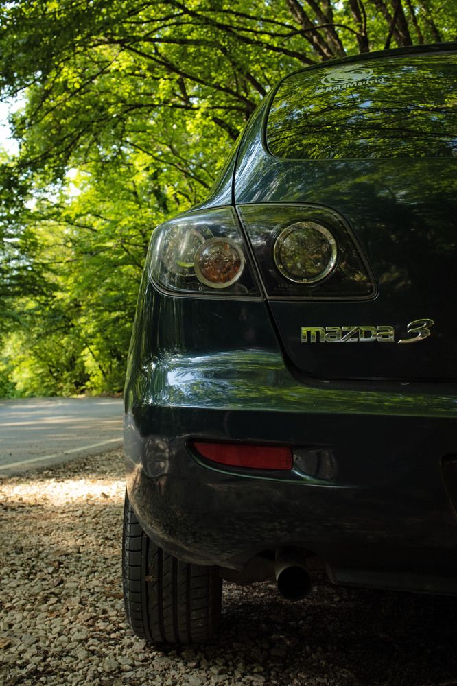 Фотография автора Ксения Золотарь