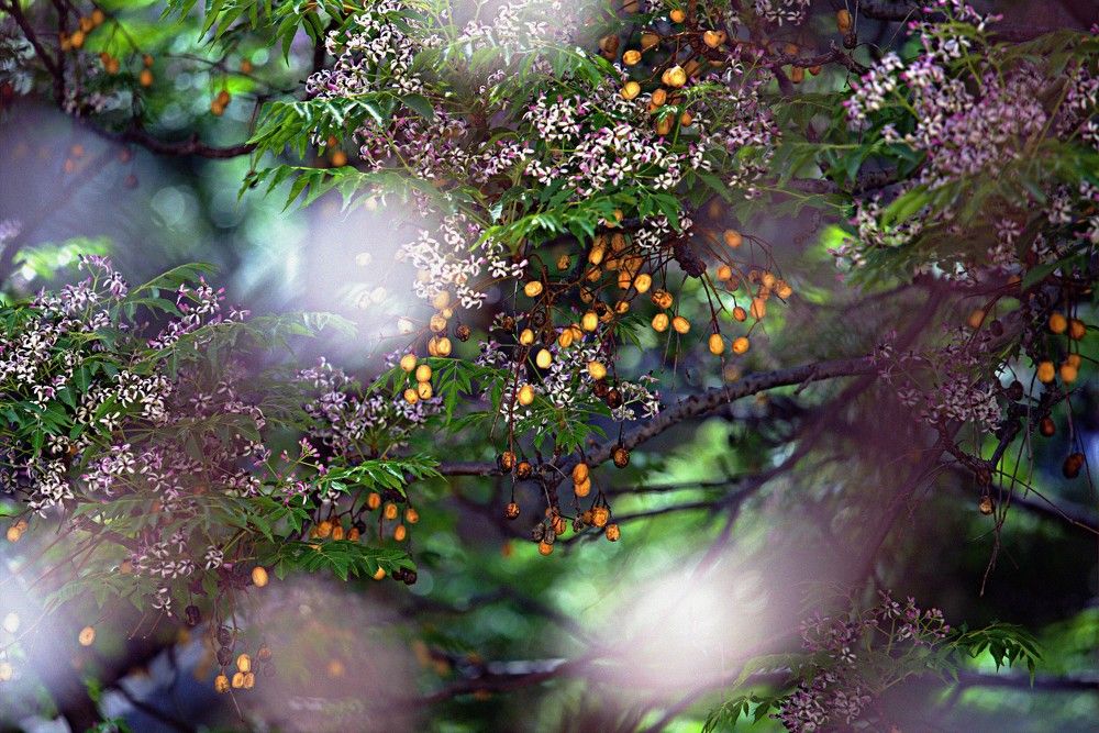 Фотография автора Сергей Рапопорт