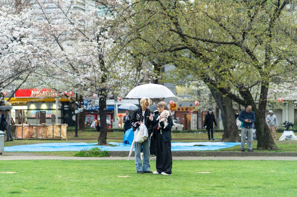 Фотография автора SHAKE MD SAMIR