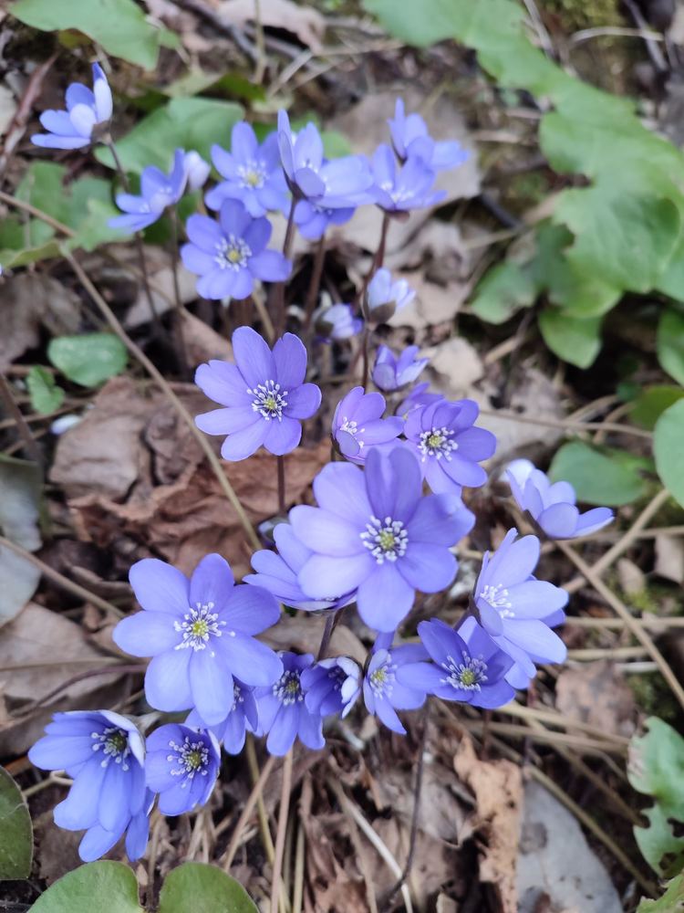 Photograph by Янина Милош