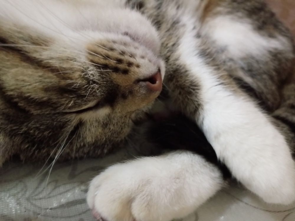 Photograph by Ирина Жемчужина