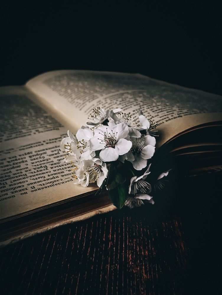 Фотография автора Светлана Таркан