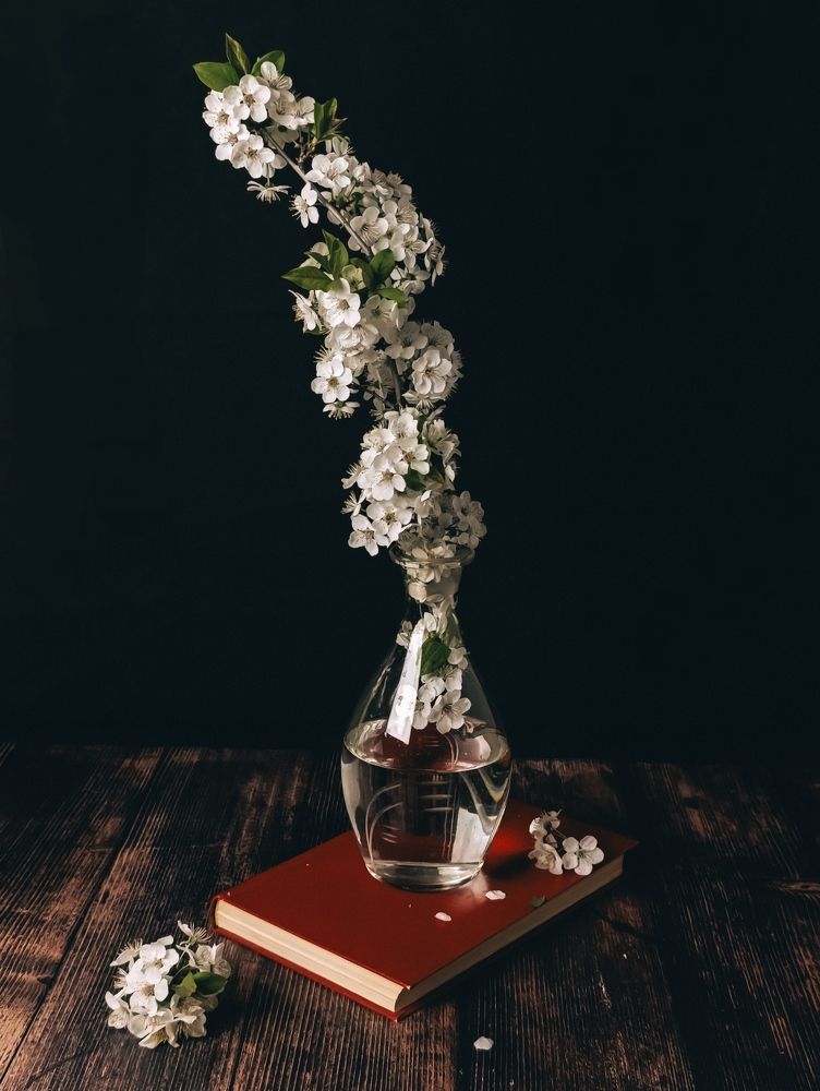 Фотография автора Светлана Таркан