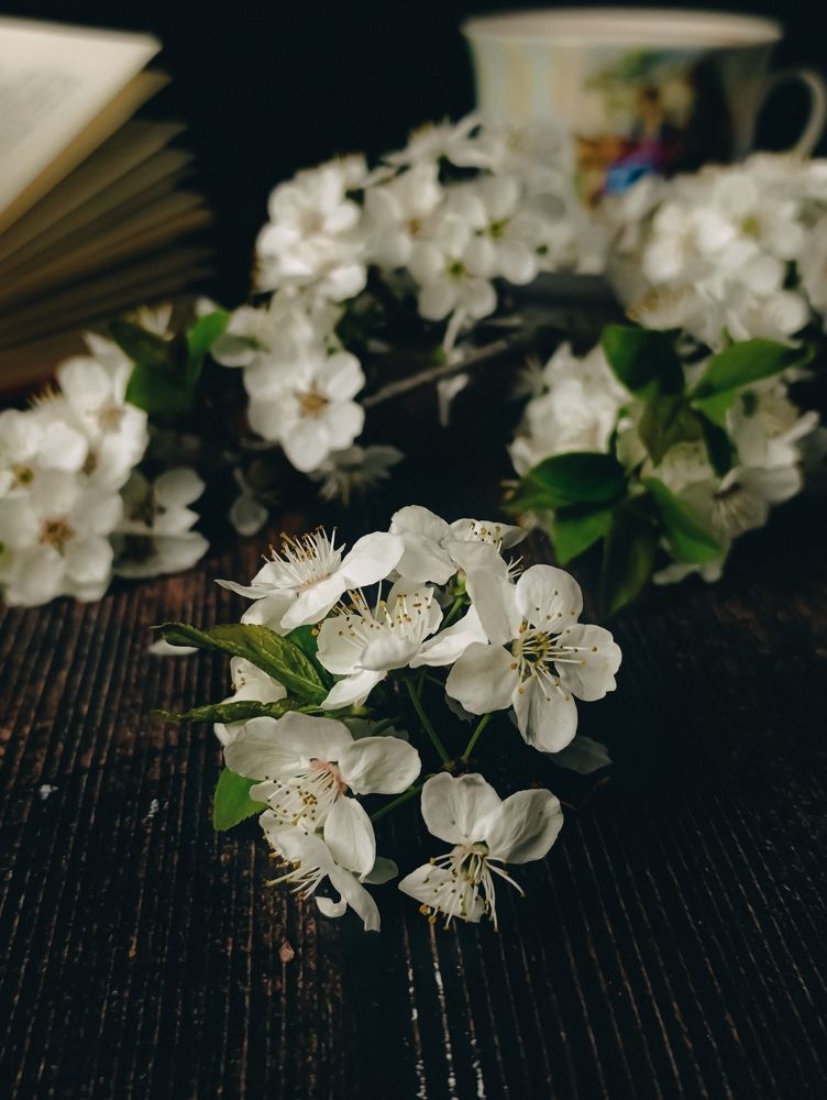 Фотография автора Светлана Таркан