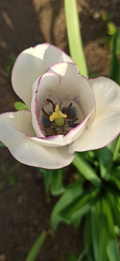 Photograph by Виорика Фоменко