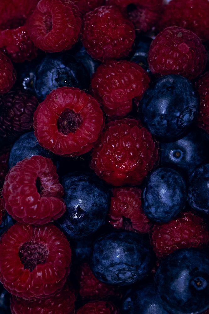 Фотография автора Евгения Бородина