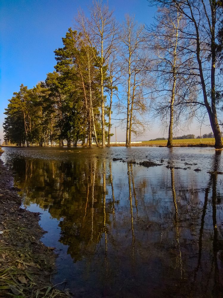 Фотография автора Светлана Таркан
