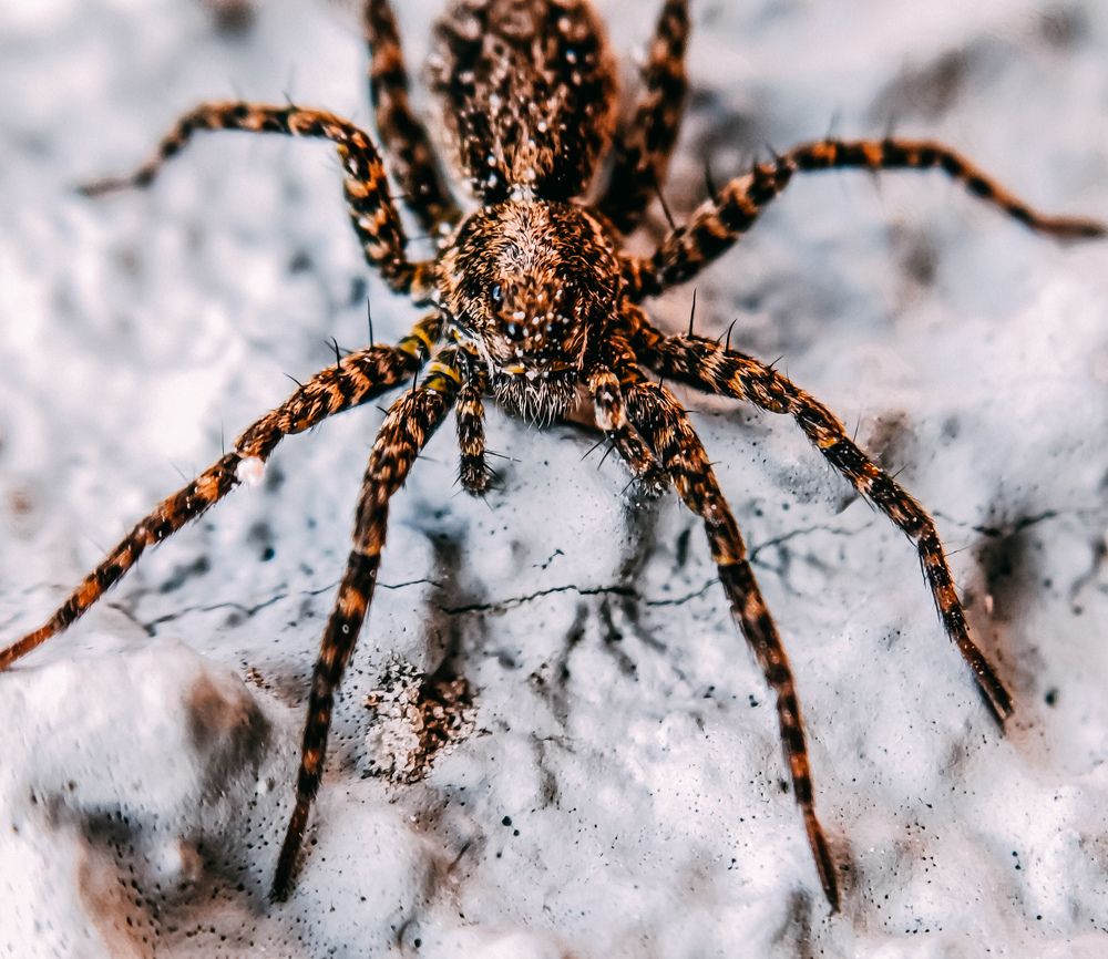 Photograph by Юлия