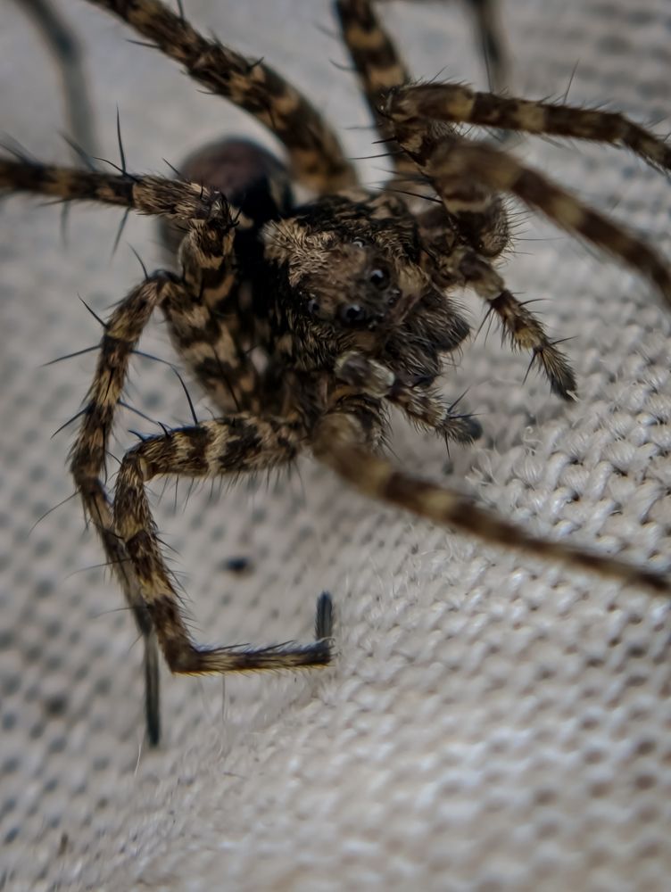 Фотография автора Светлана Таркан