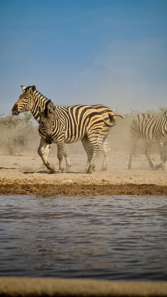 Фотография автора Andre Farrell