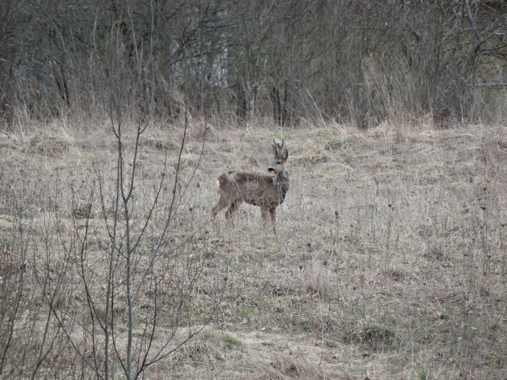 Photograph by Янина Милош