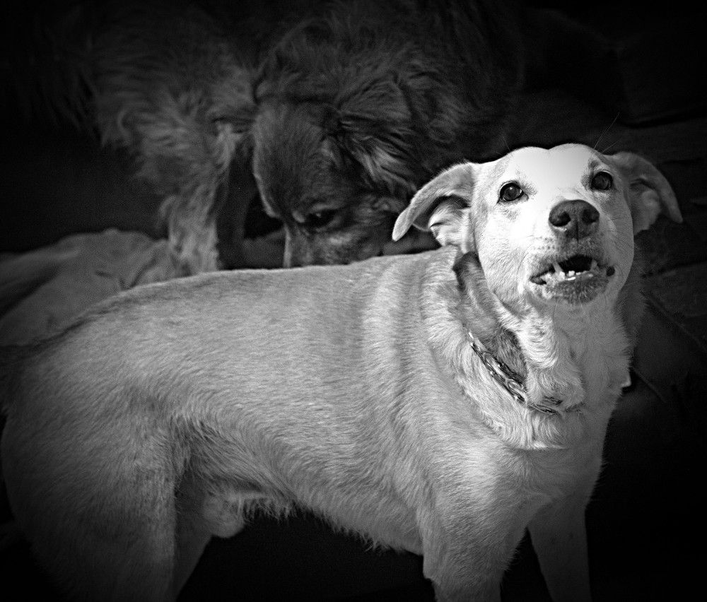 Фотография автора Сергей Рапопорт