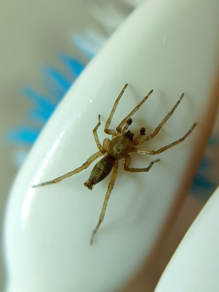 Фотография автора Светлана Таркан