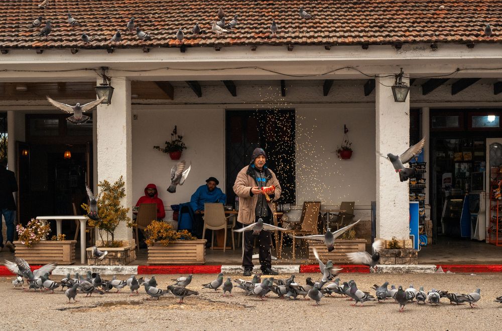 Фотография автора ghassen bargaoui