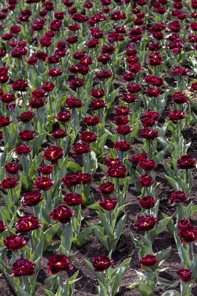 Фотография автора Ксения Золотарь