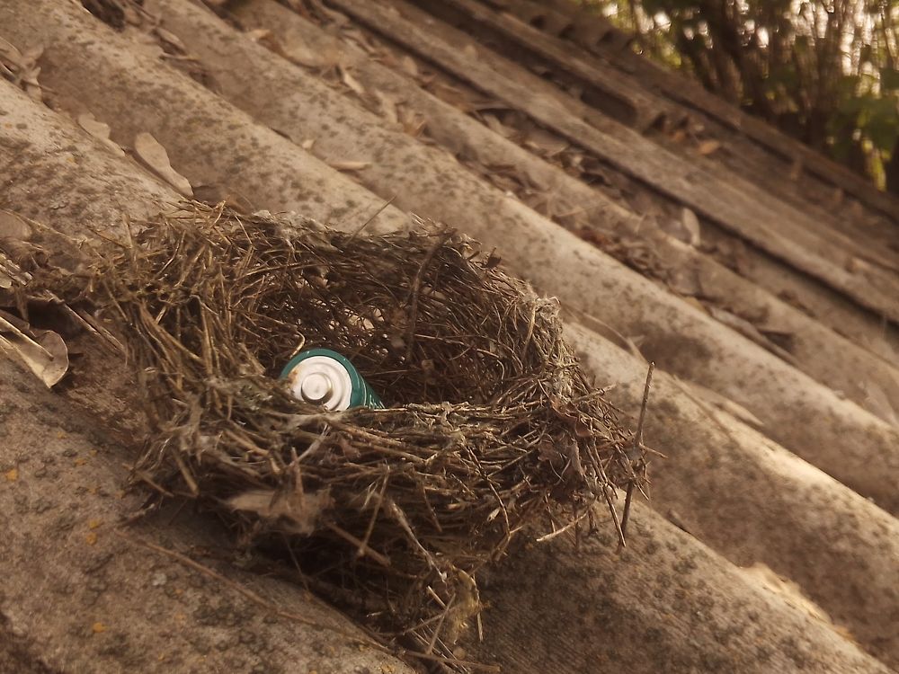 Старое гнездо и не менее старая батарейка. :)