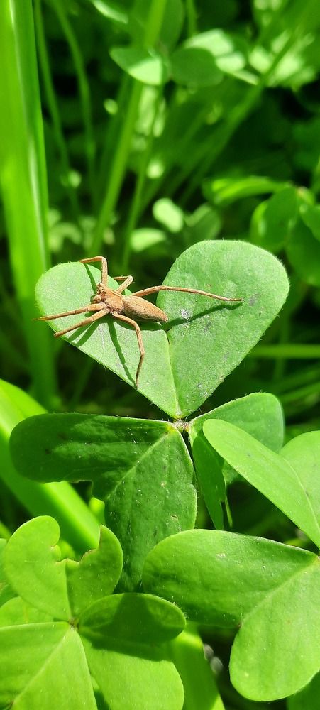 Фотография автора Anabela Maria Lima da Silva