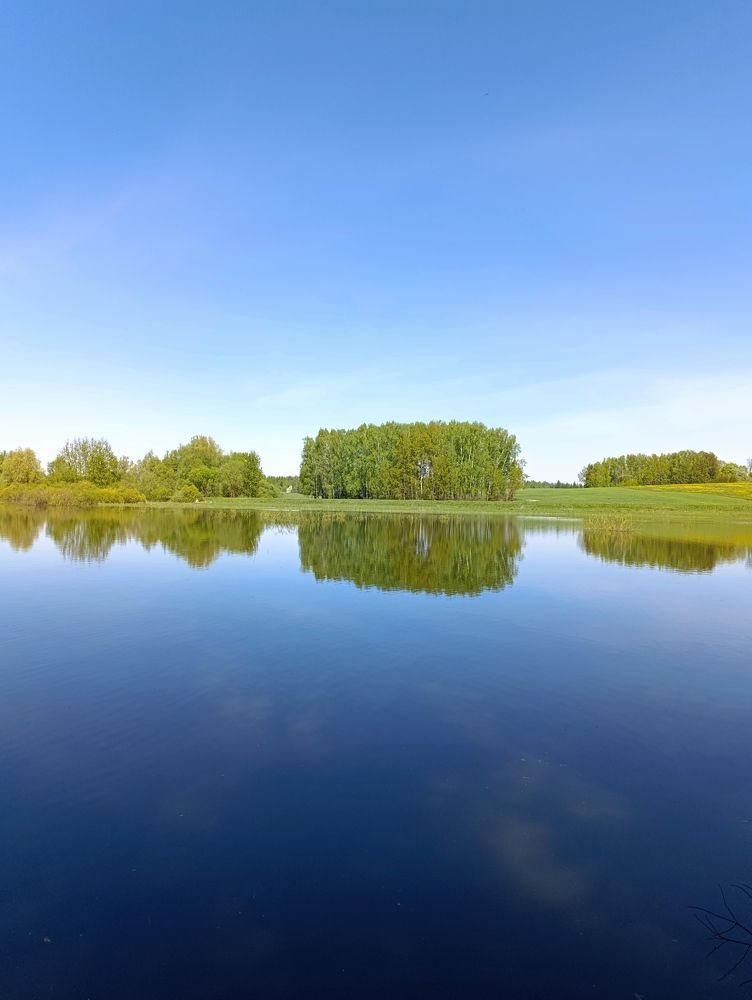 Фотография автора Светлана Таркан