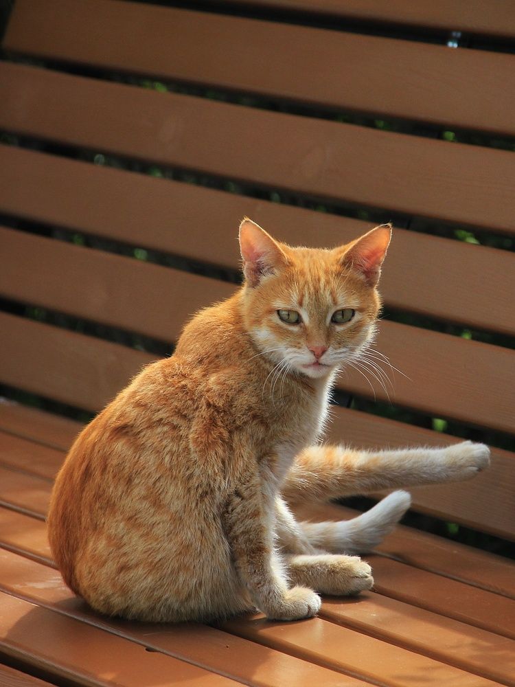 Photograph by Татьяна Долгушева