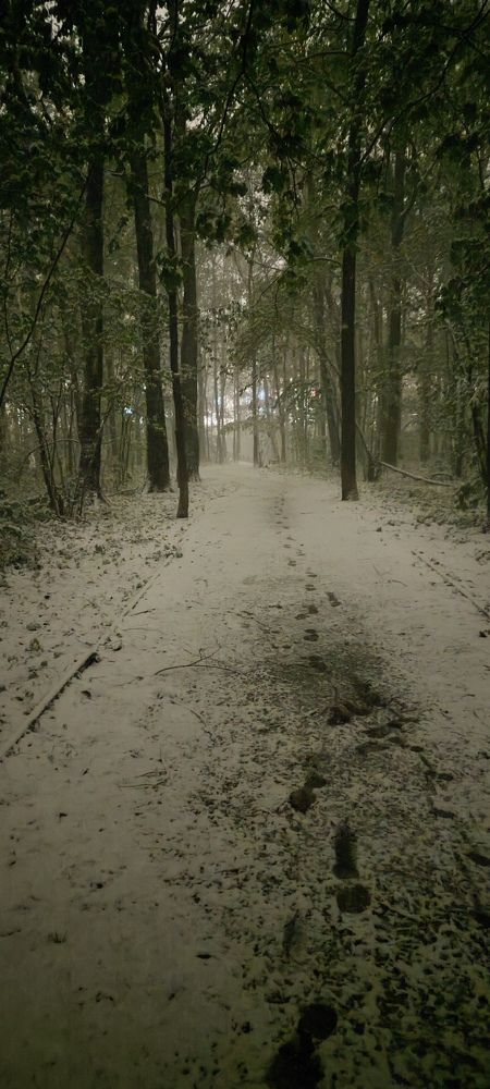 Photograph by Арсений