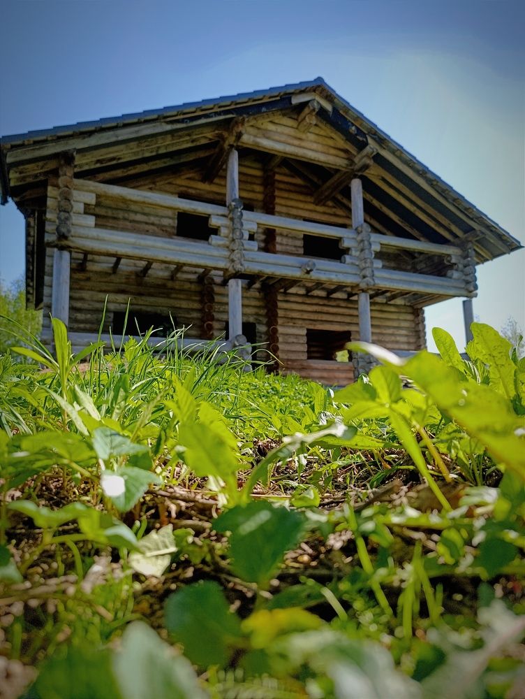 Фотография автора Светлана Таркан