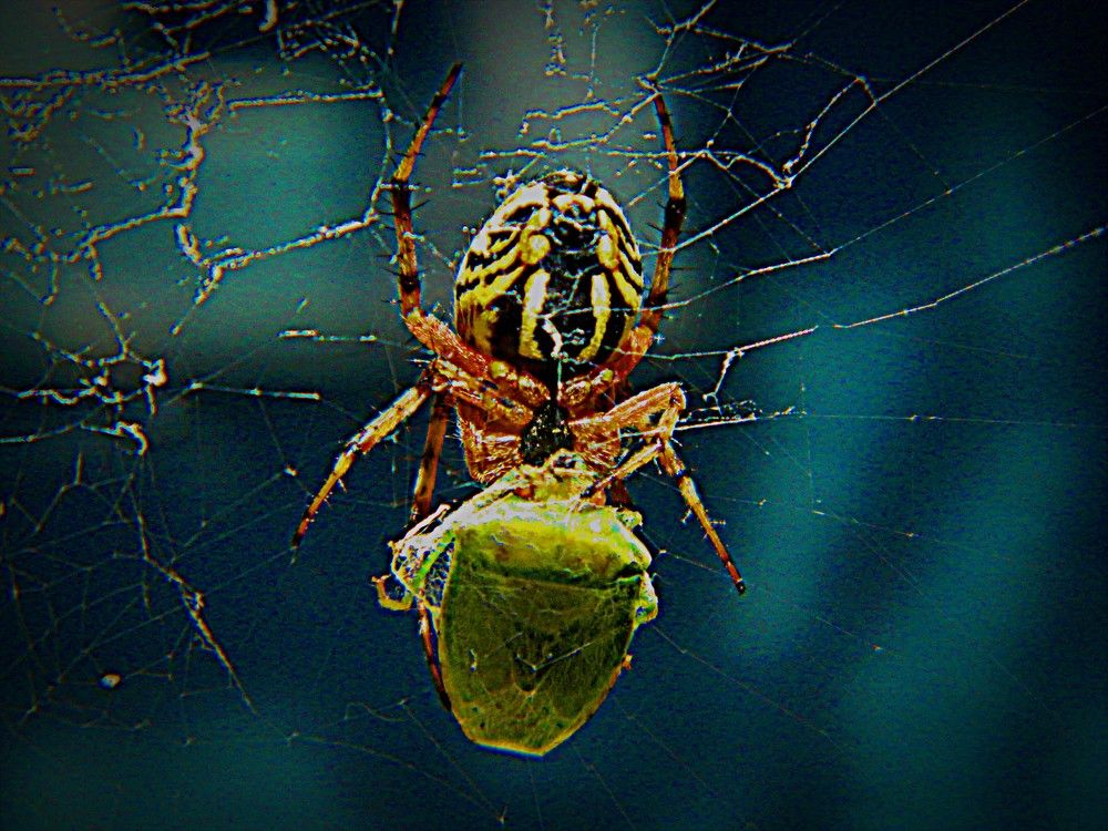 Фотография автора Сергей Рапопорт
