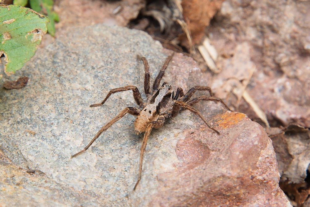 Photograph by Василий Быстрицкий