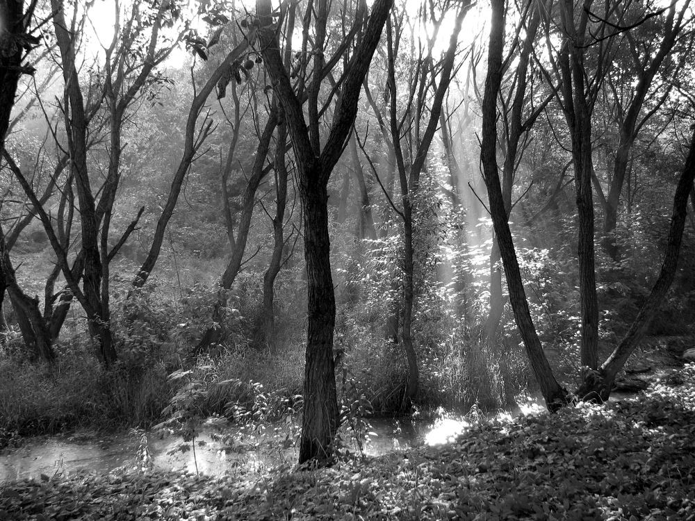 Photograph by Uladzimir Leshkevich