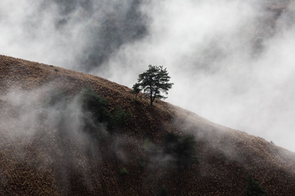 Photograph by Ирина Гентош