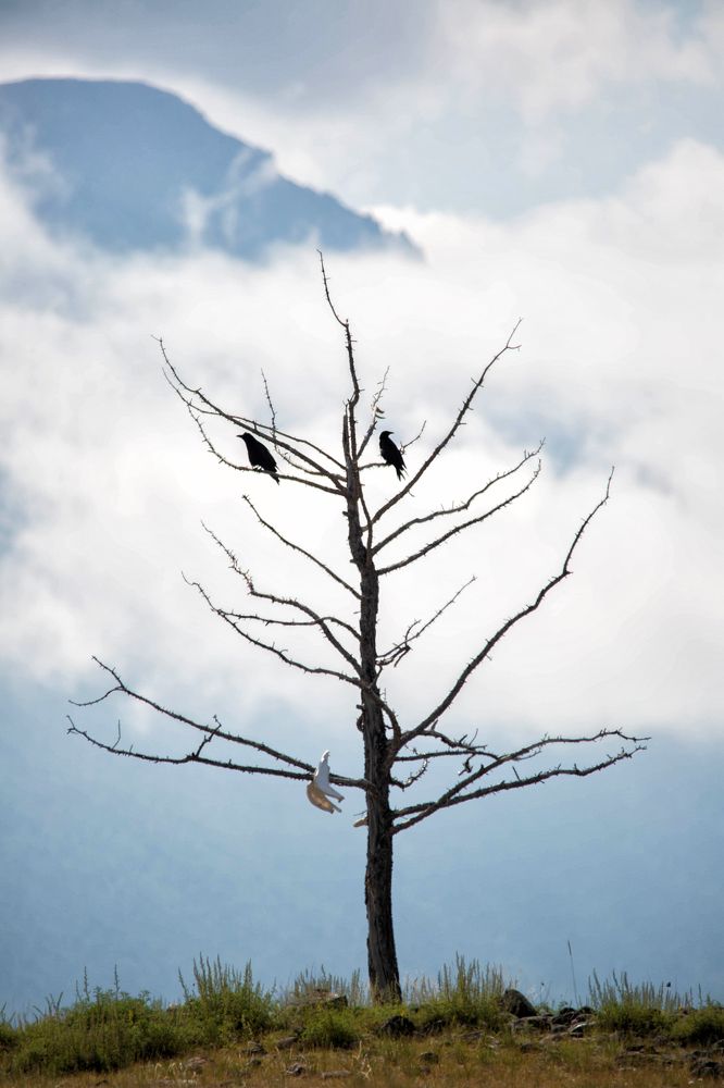 Photograph by Ирина Гентош