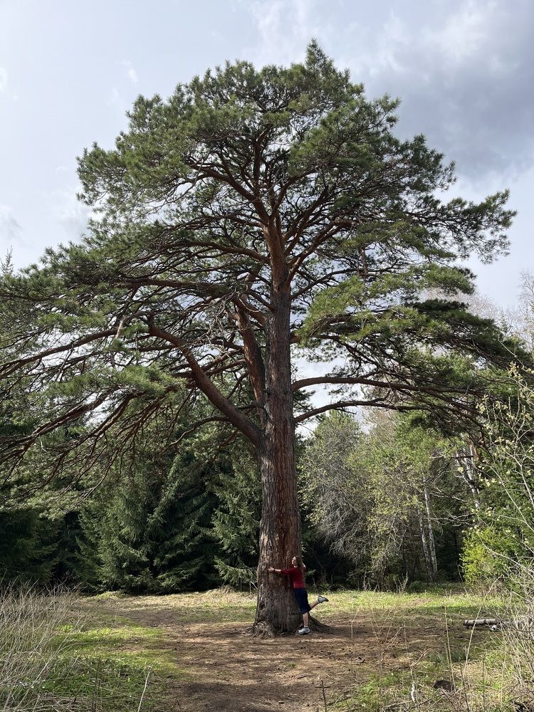 Photograph by Наталья Пасечко