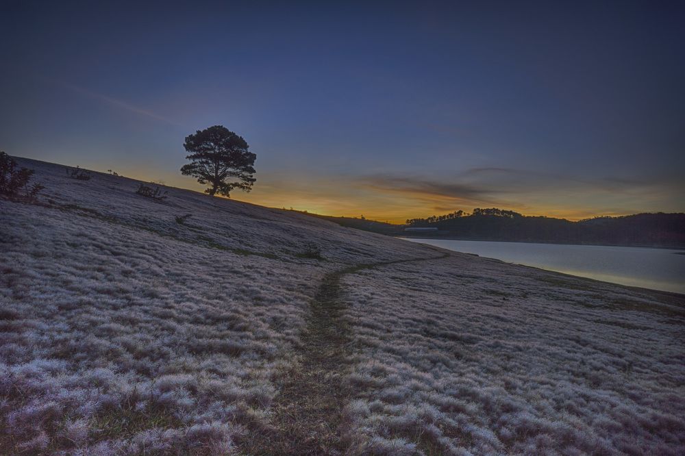 Фотография автора Nguyen Duc Truc