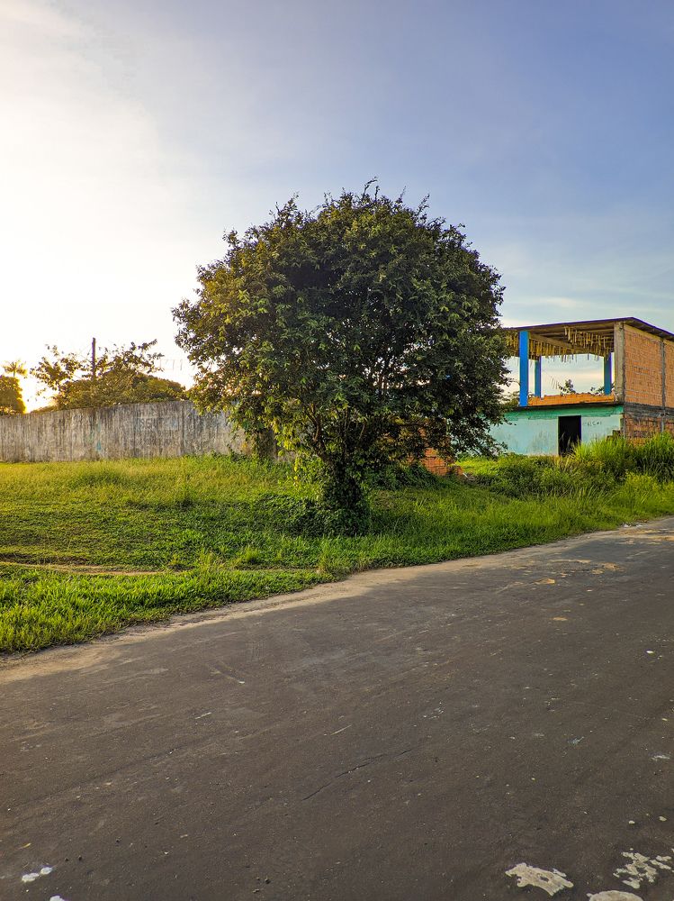 Фотография автора Jailson Soares de Matos