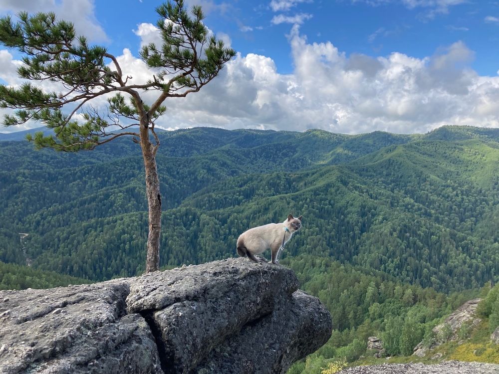 Photograph by Наталья Пасечко