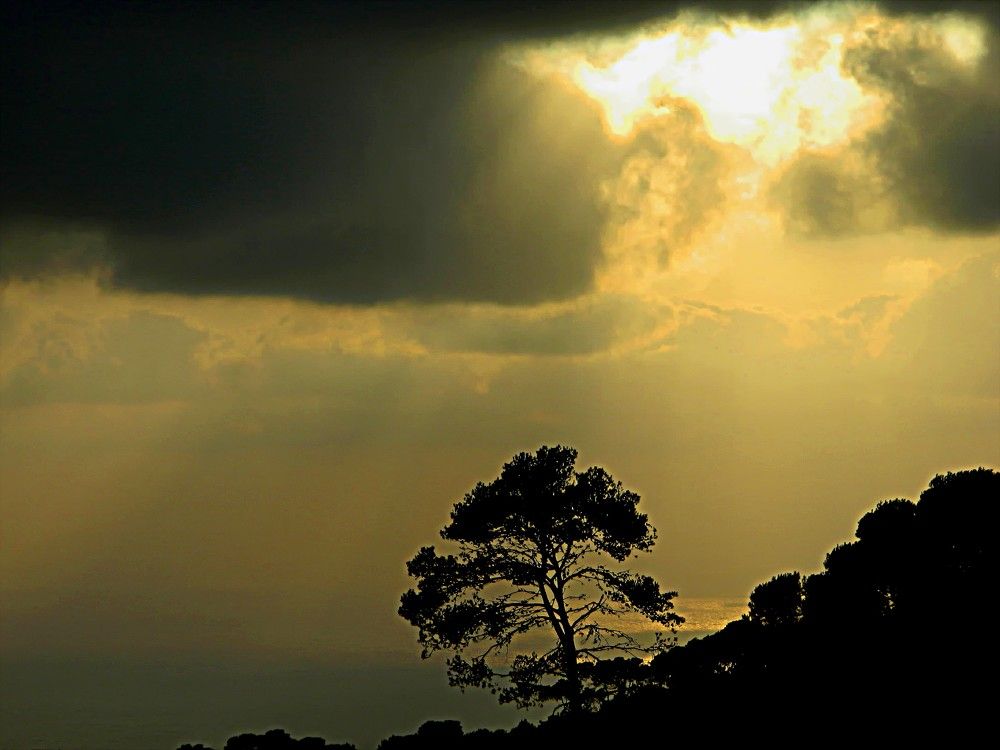 Фотография автора Сергей Рапопорт