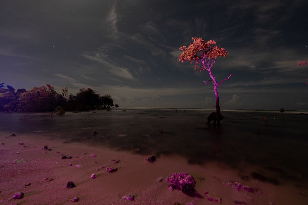 Photograph by Mukul Mukherjee