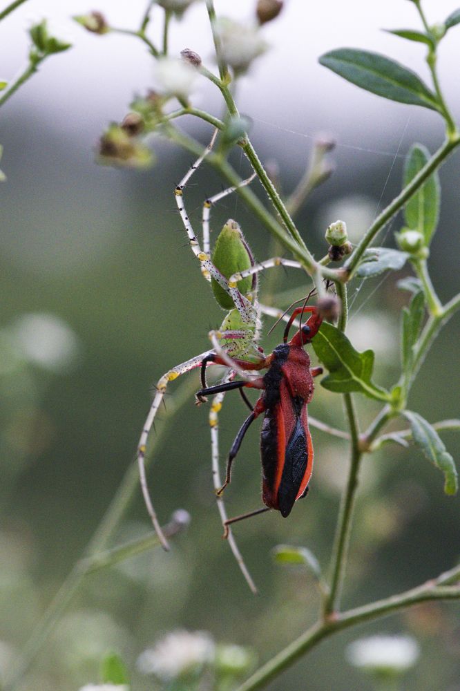 Photograph by Mukul Mukherjee