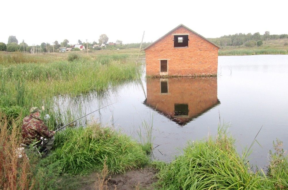 Photograph by Михаил Попов